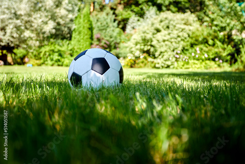 soccer ball on the green field