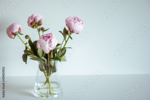 Beautiful pastel pink peonies in vase in minimalistic interior