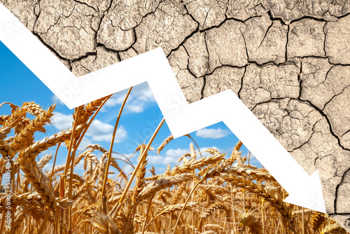 Cuadro en lienzo Food crisis