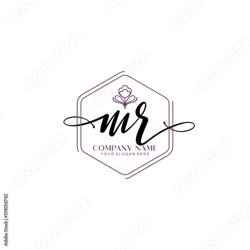 MR signature logo template vector