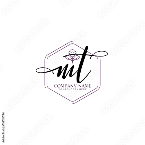 MT signature logo template vector