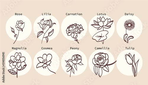 a collection of vector icons depicting various types of flowers in a simple style #514056941