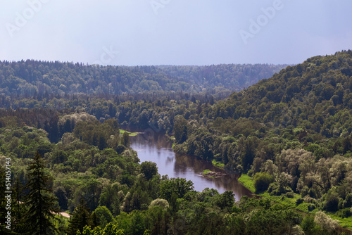 Forest in a mountainous area through which the river flows. View from above of a green forest