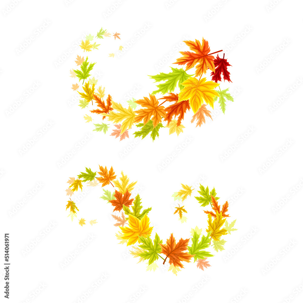 Maple Palmate Leaves of Bright Autumn Colour Arranged in Decorative Swirling Line Vector Set Maple Palmate Leaves of Bright Autumn Colour Arranged in Decorative Swirling Line Vector Set