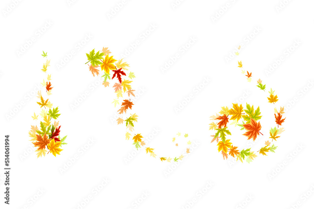 Maple Palmate Leaves of Bright Autumn Colour Arranged in Decorative Swirling Line Vector Set Maple Palmate Leaves of Bright Autumn Colour Arranged in Decorative Swirling Line Vector Set