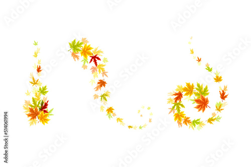 Maple Palmate Leaves of Bright Autumn Colour Arranged in Decorative Swirling Line Vector Set