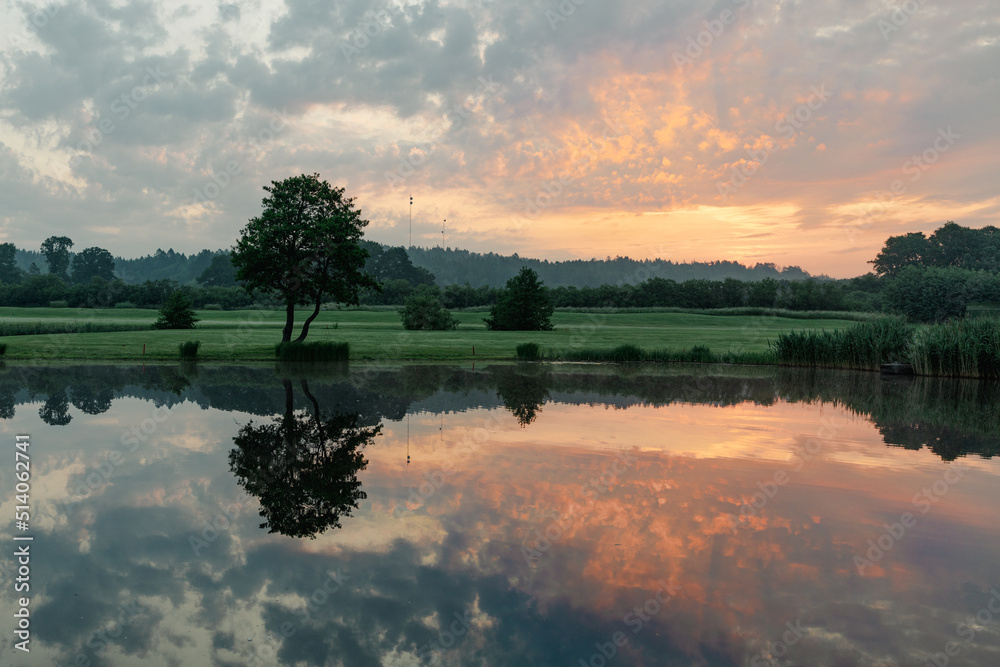 Obraz premium Tree reflection in lake on early misty morning at sunrise