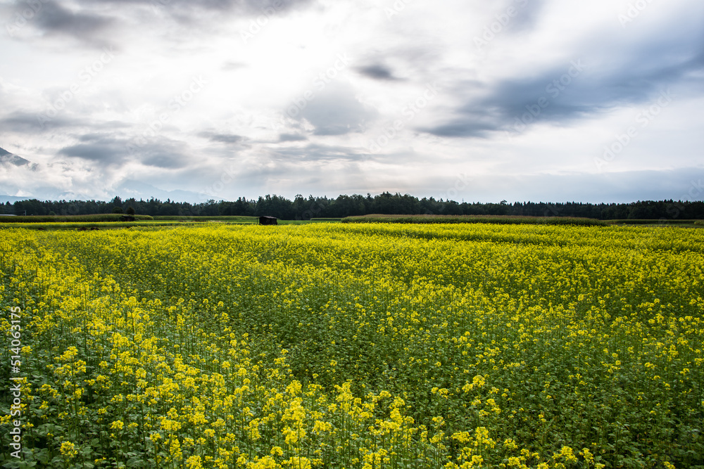 Beautiful landscape in nature Beautiful landscape in nature