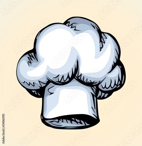 Vector drawing. Old chef hat