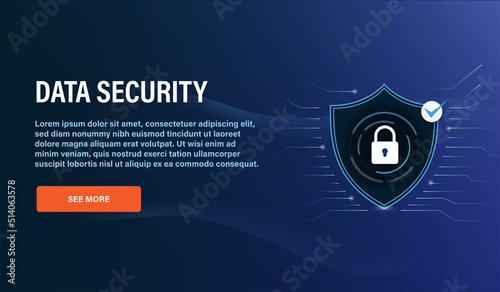 Data Security Vector Illustration