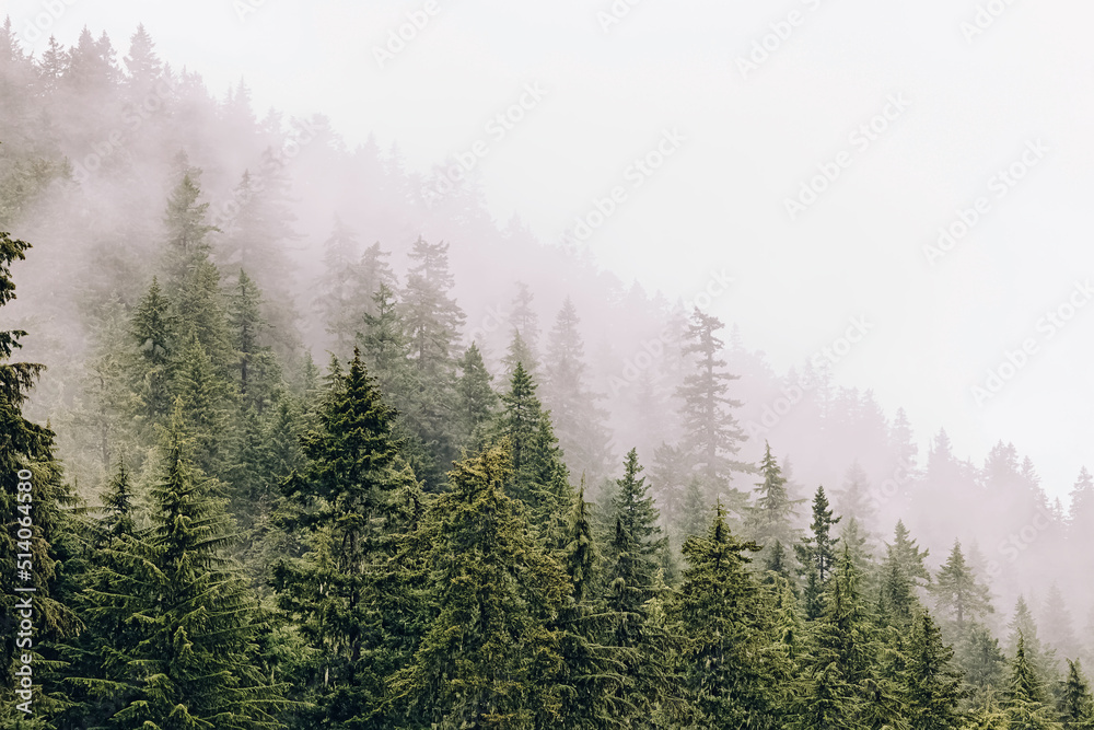 Misty foggy mountain landscape