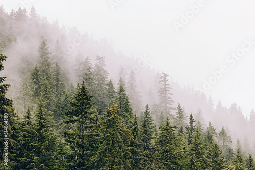 Misty foggy mountain landscape