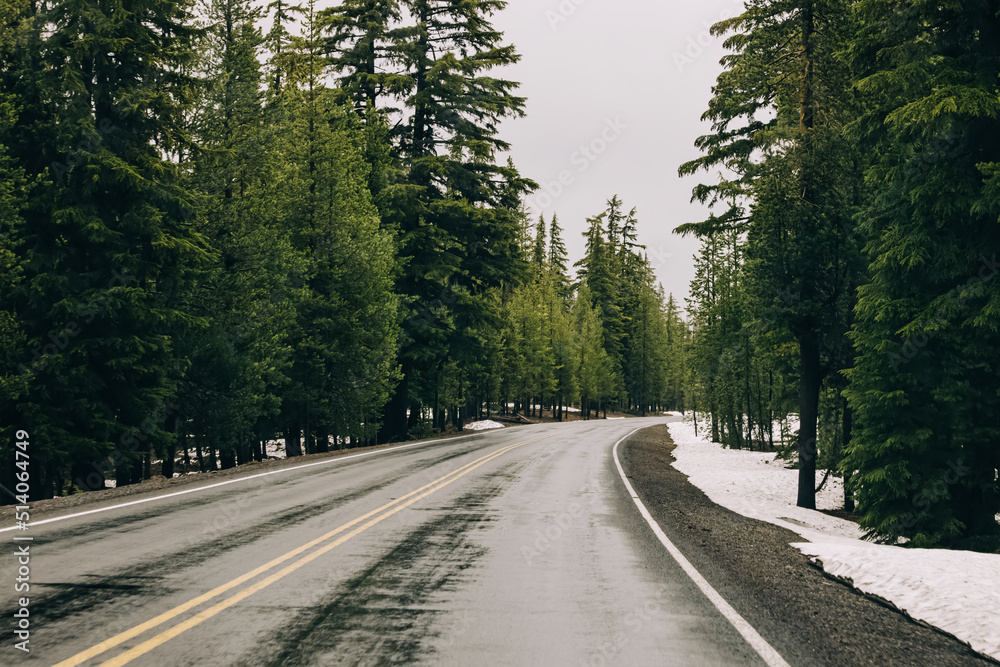 Road through the pine tress with some snow on the roadside Road through the pine tress with some snow on the roadside
