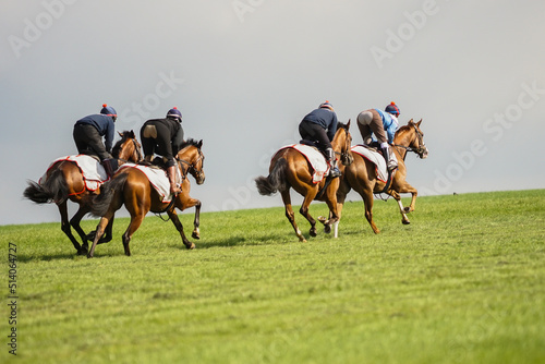 Fotografia Thoroughbred Racehorses exercising at gallop on the heath at Newmarket