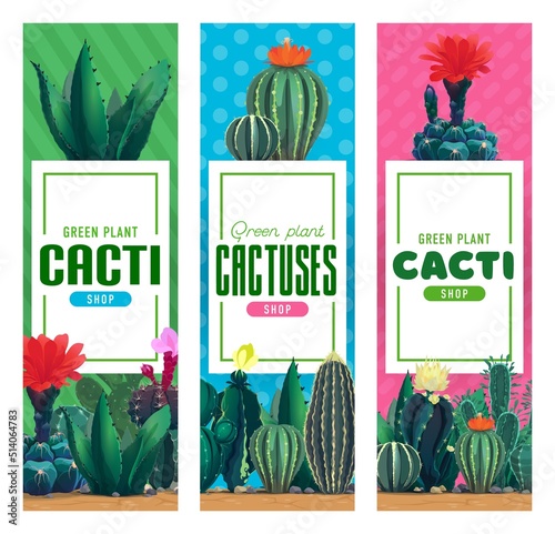 Flower shop banners, cacti and succulents. Vector vertical banners with different cartoon cactuses, tropical spiked plants, desert flora. Floristic store app mobile onboard screen design