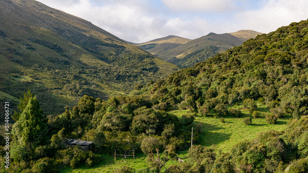Obraz premium landscape in the mountains