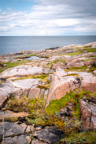 Summer tundra. Rocky coastline of Barents Sea near Teriberka, panoramic aerial view. Scenery of Russian North. Kola Peninsula, Murmansk Oblast, Russia