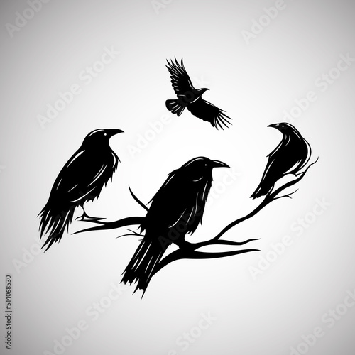 Birds Silhouette - crows sitting on a dry trees