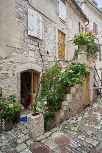 Plant on the steps in the old town of Kotor, Montenegro © pridannikov