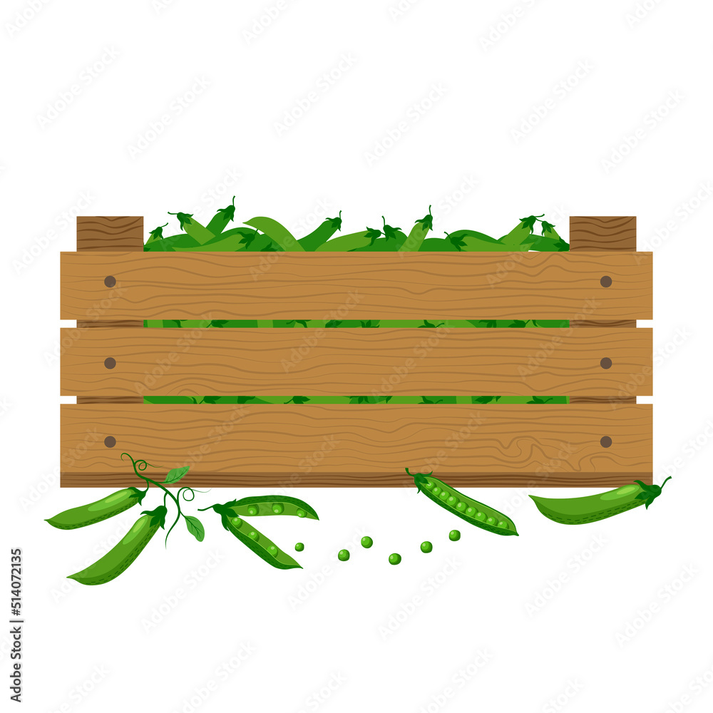 Vector illustration of a wooden box with green peas on a white background in a flat style. Vector illustration of a wooden box with green peas on a white background in a flat style.