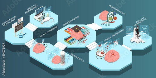 Isometric Neuroscience Composition
