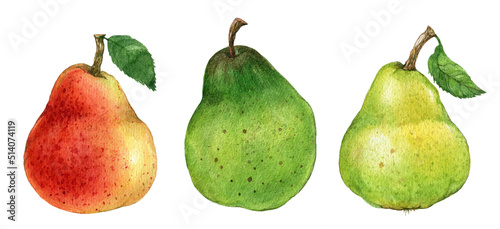 Watercolor realistic pear set illustration. Pear leaves, summer fruit, botanical plant, Cookbook  stickers isolated on white background