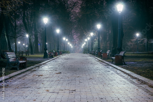 The alley of a night early winter park in a light fog. Footpath in a fabulous late autumn city park at night with benches and latterns. Beautiful cold evening in Mariinsky Park. Kyiv, Ukraine.