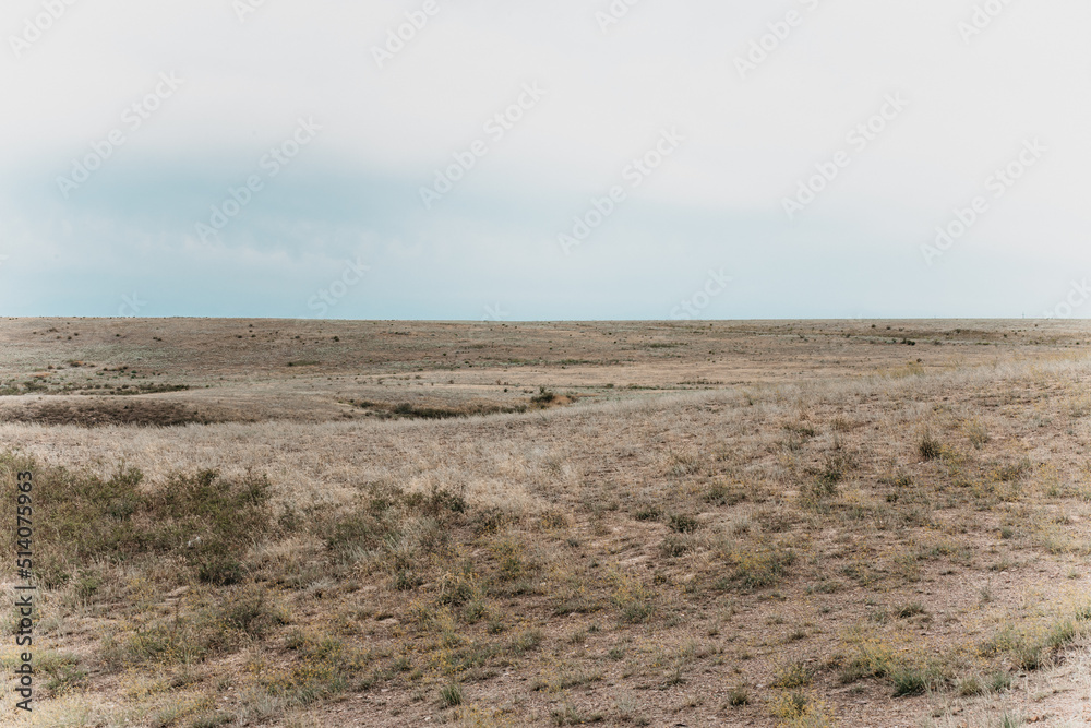 Picturesque Steppe View Landscape Against The Sky In Summer.