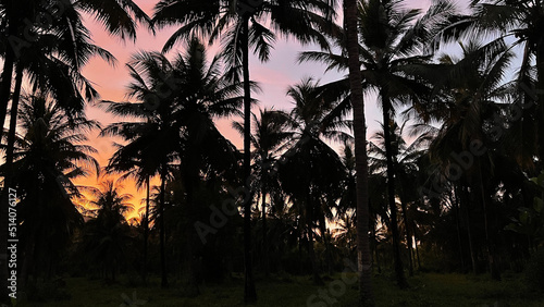 Colourful sunset in Sri Lanka