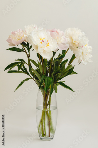 Bouquet of white peonies in glass vase on white background, cut flowers, decor, gift