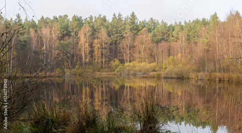 Frühlingsabend am Waldsee