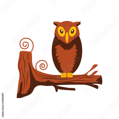 owl on branch tree