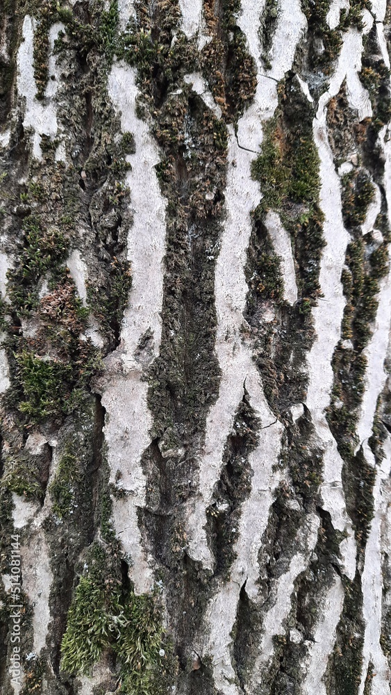 texture texture