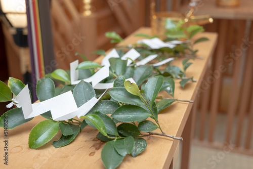 Sakaki used when offering tamagushi to God