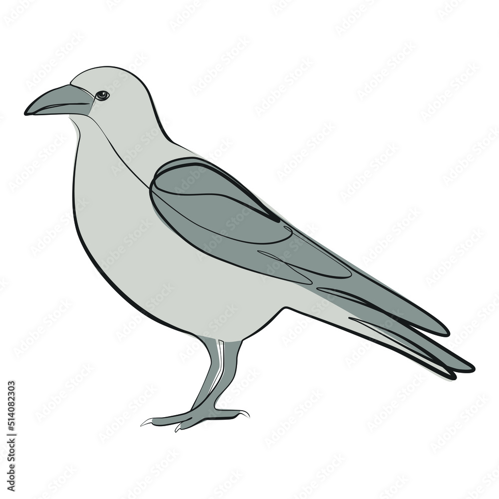 Fototapeta premium Crow one line drawing on white isolated background. Vector illustration