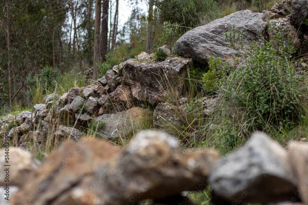 HUANCAVELICA, PERU - JUNE 29, 2022: Perspective view of a stone fence. Overhanging plants, trees in the background, and another out-of-focus fence in the foreground. HUANCAVELICA, PERU - JUNE 29, 2022: Perspective view of a stone fence. Overhanging plants, trees in the background, and another out-of-focus fence in the foreground.