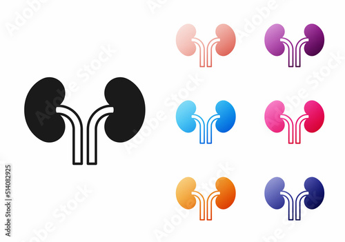 Black Human kidneys icon isolated on white background. Set icons colorful. Vector