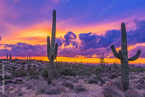 Vibrant Sunset Skies In North Scottsdale Arizona With Saguaro Cactus © Ray Redstone