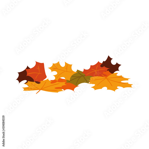 autumn leaves nature