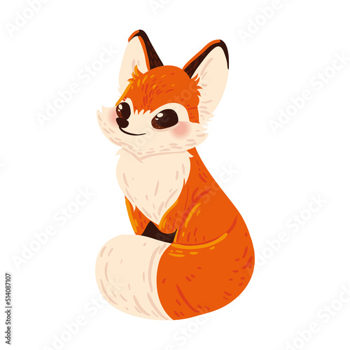 cute fox animal