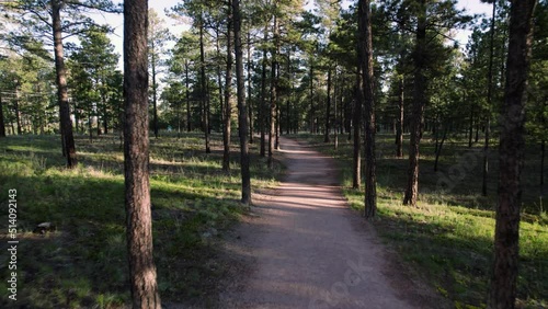 Flying North Through Colorado Pine Forest at Sunrise 4K features drone footage flying down a path through the Black Forest near Falcon Colorado near sunrise.