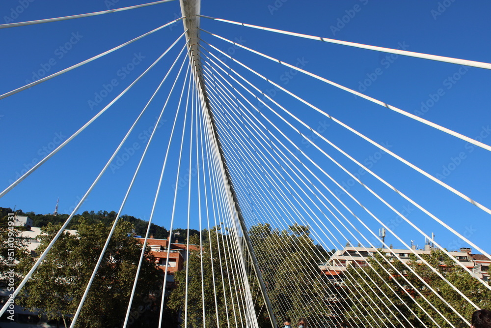 Fototapeta premium bridge over the river