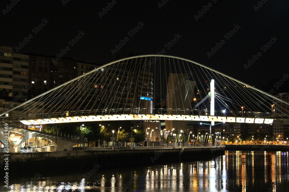 Obraz premium city harbour bridge