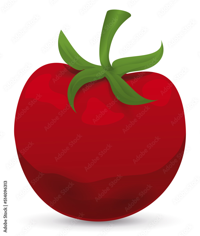 Isolated red and ripe tomato with green stem, Vector illustration Isolated red and ripe tomato with green stem, Vector illustration
