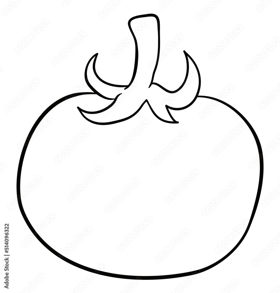 Delicious tomato with stem in outlines to color it, Vector illustration Delicious tomato with stem in outlines to color it, Vector illustration