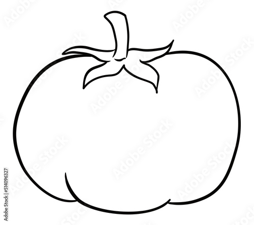 Fleshy tomato with stem in outlines to coloring, Vector illustration