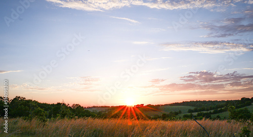 Sunset pasture 