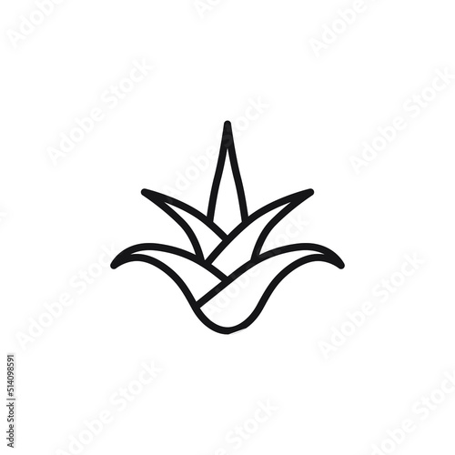 Aloe plant with leaf flat vector icon for apps and websites