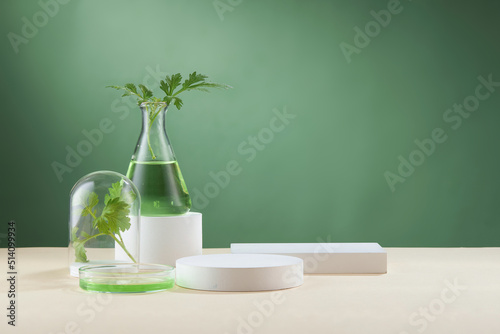 Front view of mugwort   artemesia vulgaris   decorated in petri dish glassware white poodium cosmetic jar and green background