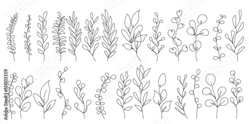 Continuous Line Drawing Of Plants Black Sketch of Flowers Isolated on White Background. Flowers One Line Illustration. Minimalist Botanical Art Design. Vector EPS 10.